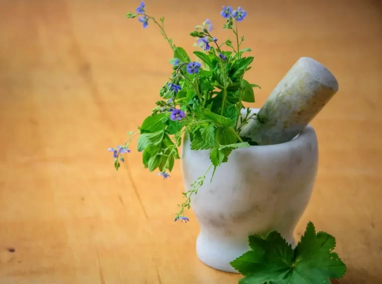 Healing with Sacred Herbs